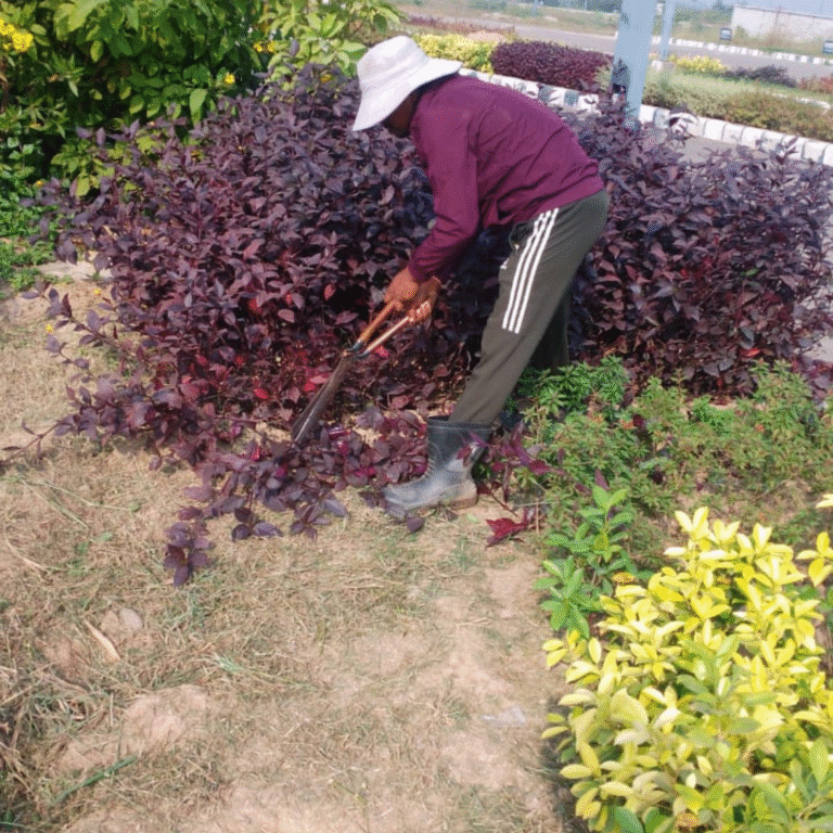 GMI Business Park Construction (1)