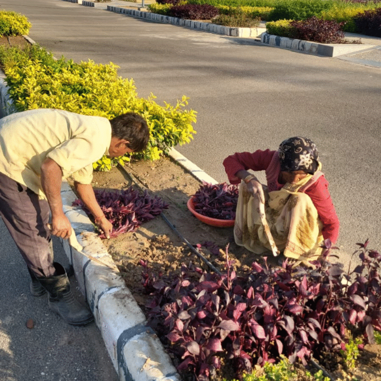 GMI Business Park Construction (5)