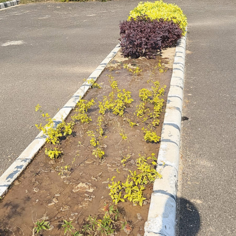 GMI Business Park Construction (7)