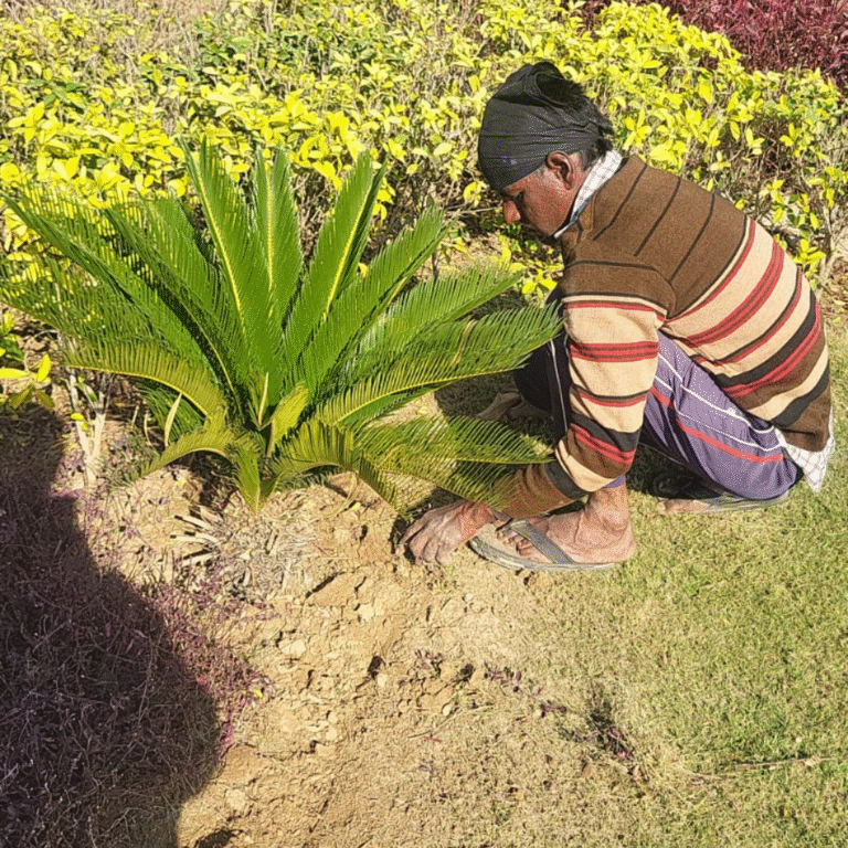 GMI Business Park Construction (9)